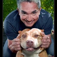 Educar un Perro (@educarunperro7) 's Twitter Profile