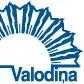 Toronto latviešu skola Valodiņa ir vieta visiem kuŗi vēlas mācīties latviešu valodu, tuvoties latviešu sabiedrībai un kultūrai. Inclusive and welcoming to all