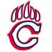 Chapbaseball (@baseballchap) Twitter profile photo