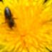 Ahmet_Mahmut Beşkaza (@mahmutbeskaza) Twitter profile photo