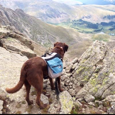 BurtzJustin's profile picture. If you laugh, you think, and you cry, that's a full day