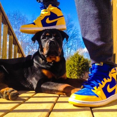 23DaysOfKicks's profile picture. 