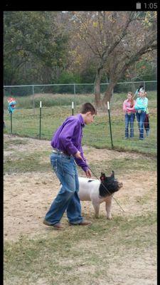 -You can find me in the barn-    °Kadie°