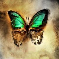 nawal (@nawalaam) Twitter profile photo