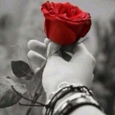 LOVEmachine4U's profile picture. Visionary, creator, thinker, believer, dreamer, lover.