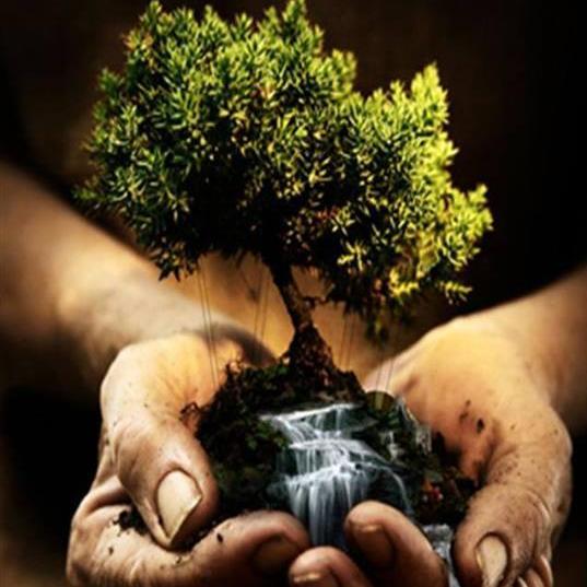 La terra è una, salviamola!