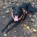 Leon Engel - @HtcleonC - Twitter