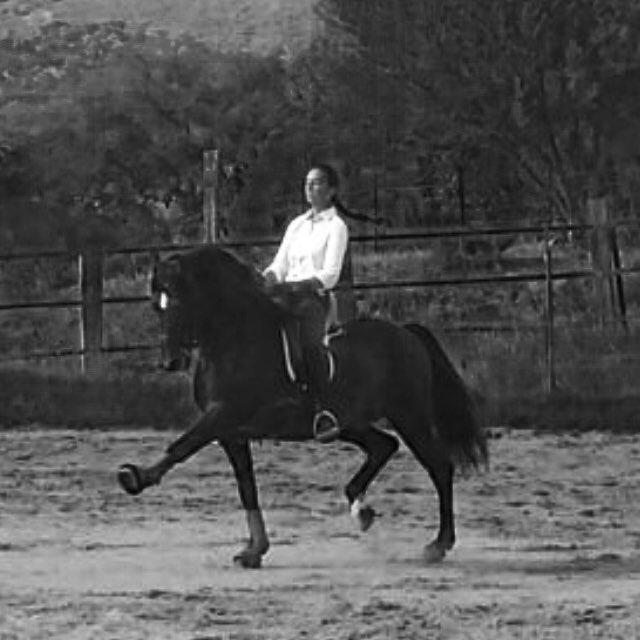 Ingeniería Eléctrica & dressage