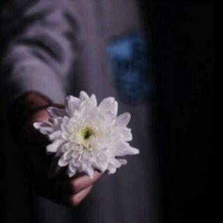 ‏‏‏‏سبحان الله وبحمده سبحان الله العظيم.