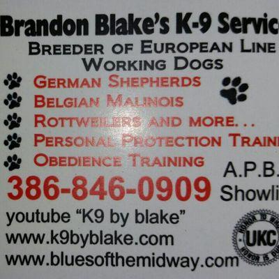 brandonwblake's profile picture. 