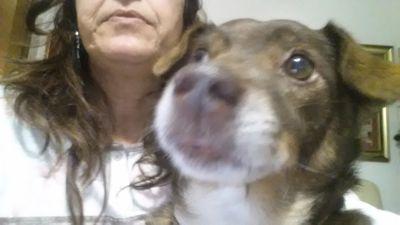 NettunoPatty's profile picture. 