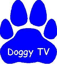 Don't step in poop watch Doggy Television. Covering all animal welfare issues including rescue, adoption, spay neuter, tnr, fur, vegan, protests, dog, cat.