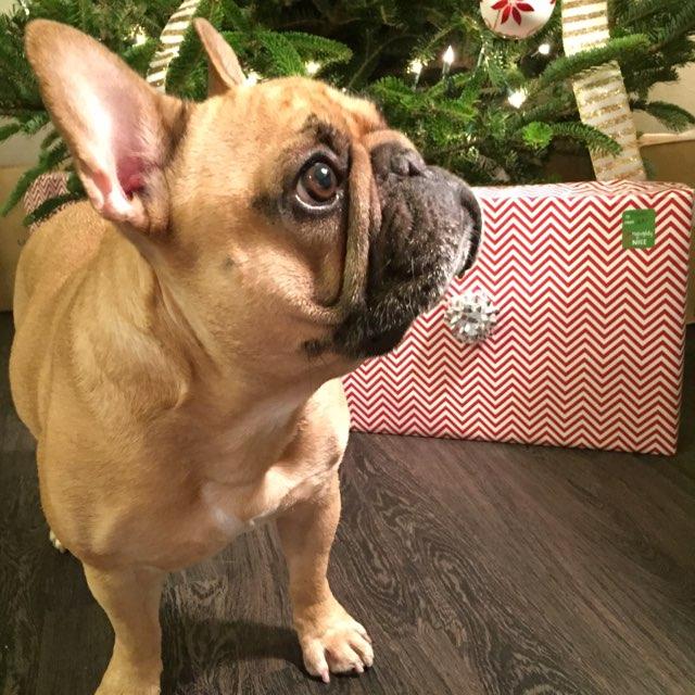 Jenniijennjen's profile picture. 