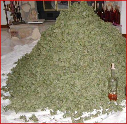 Cfiller's profile picture. relentless