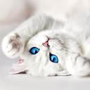 Madison Granger - @Madison20200 - Twitter