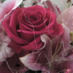 雪華 Minasnowflower Twitter 雪華 Minasnowflower Twitter