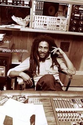 dogdays305's profile picture. 