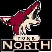 York North Competitive Teams
