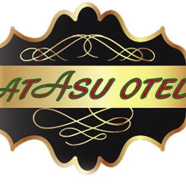 AtasuUludag's profile picture. 