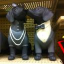 Casey Knight - @caseyknight929 - Twitter