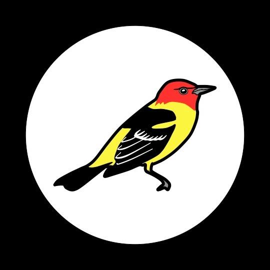 VanW's profile picture. 