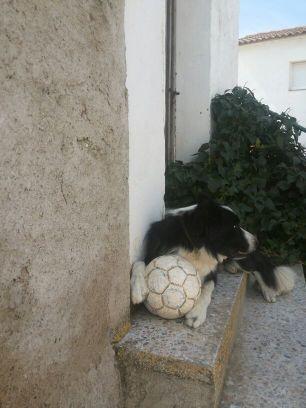 Arroyos_7's profile picture. 