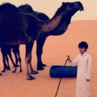 fasil2911's profile picture. 