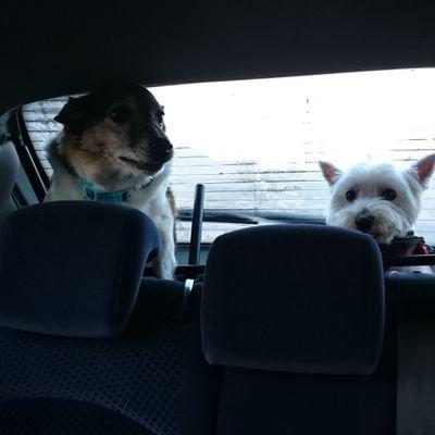 murphypaula's profile picture. 