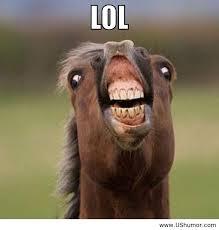 Follow here to get daily pics that'll make you laugh out loud(lol)