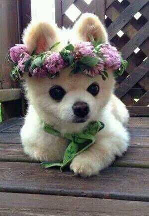 follow @Erin_dallas01 she gave you this free follow!!