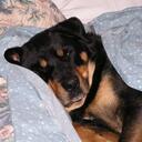 logan hyatt - @warmsmores - Twitter