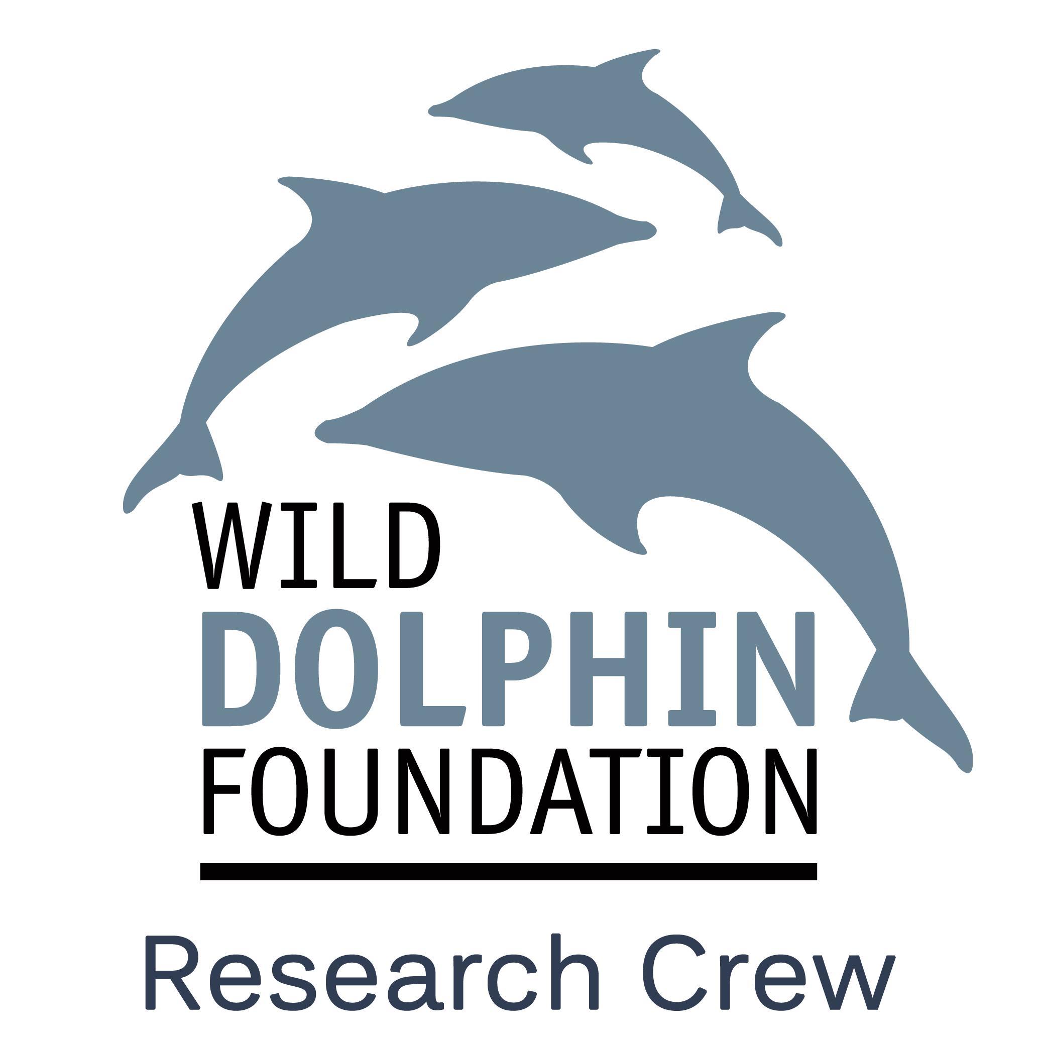 The Wild Dolphin Foundation protects dolphins through research, advocacy, and education. Our mission is to change human behavior threatening the dolphins.