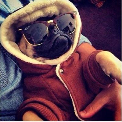 tweetlesserica's profile picture. 