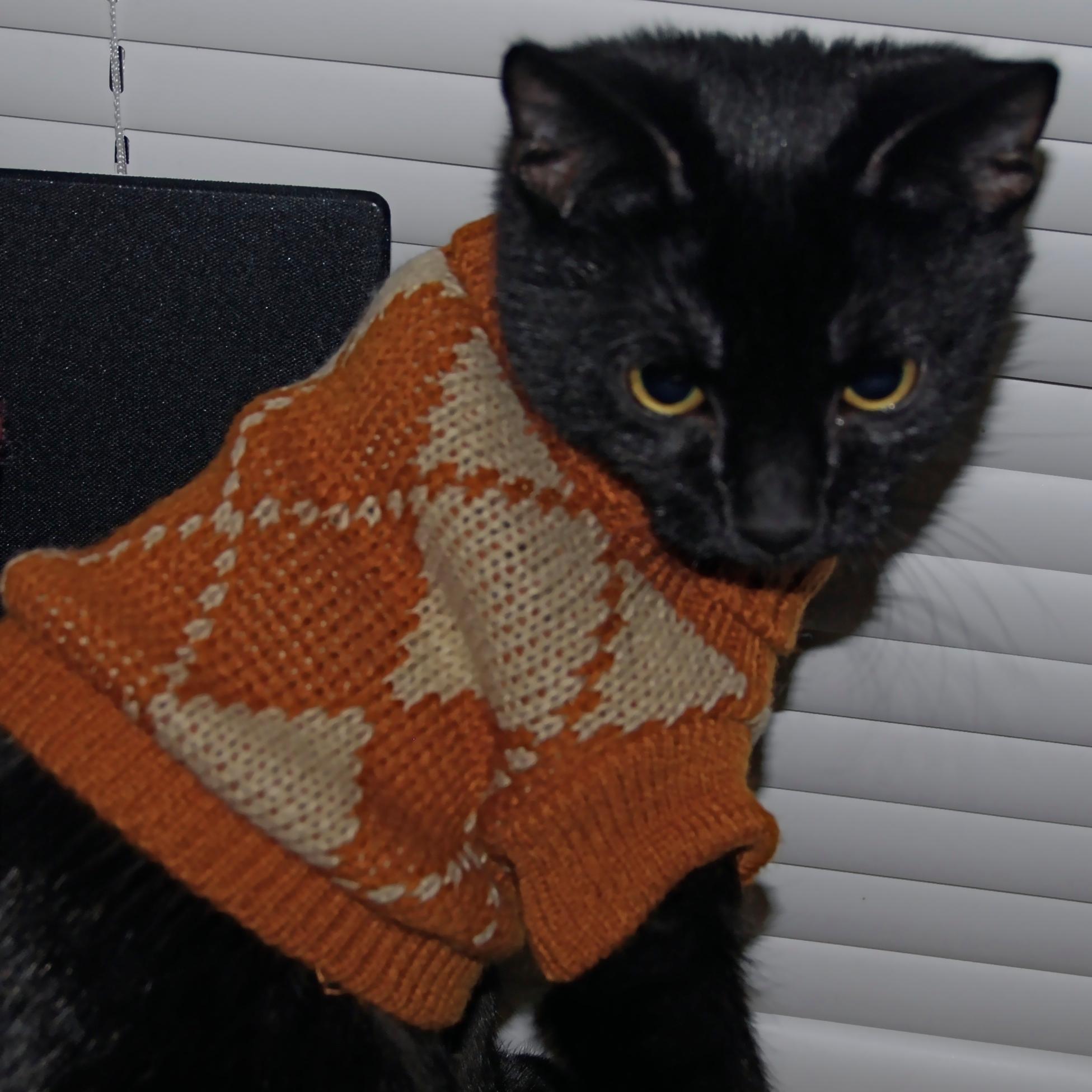 NPStudioRI1's profile picture.