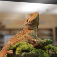 LaGrange Library (@lagrangelibrary) 's Twitter Profile