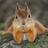 AGDacademics's profile image