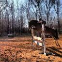 Ahmed Abdulahi - @AbabdulahiAhmed - Twitter