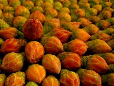 jasonwhiteagma1's profile picture. 