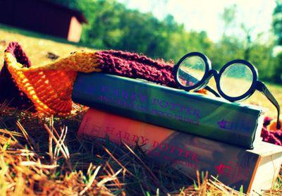 PotterMagicRol's profile picture. Rol de Harry Potter. La magia esta en los libros. ¿A que esperas para unirte? Ocupados en galeria. ∆ℓωαуѕ #PotterMagicRol
