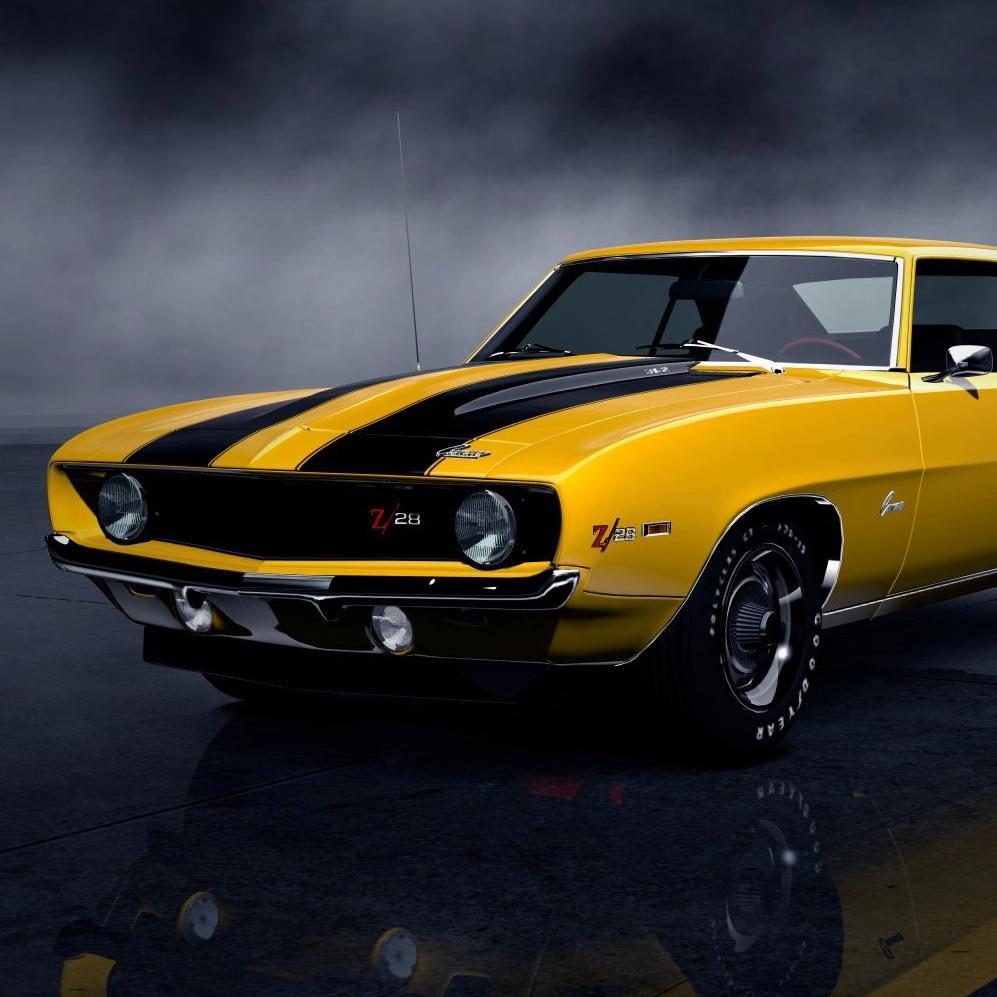 FiruzTooCool4U's profile picture. 