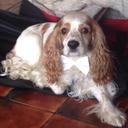 Chester Smith - @chesterlover15 - Twitter
