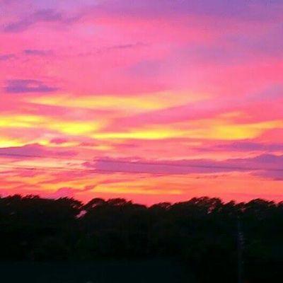 tedwardson53's profile picture. Retired - Conservative -UnVaxed-Christian-Pat-Head