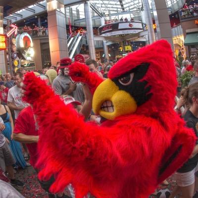 Mascot of the University of Louisville.