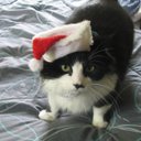 Mike Pacheco - @BradyTiger - Twitter