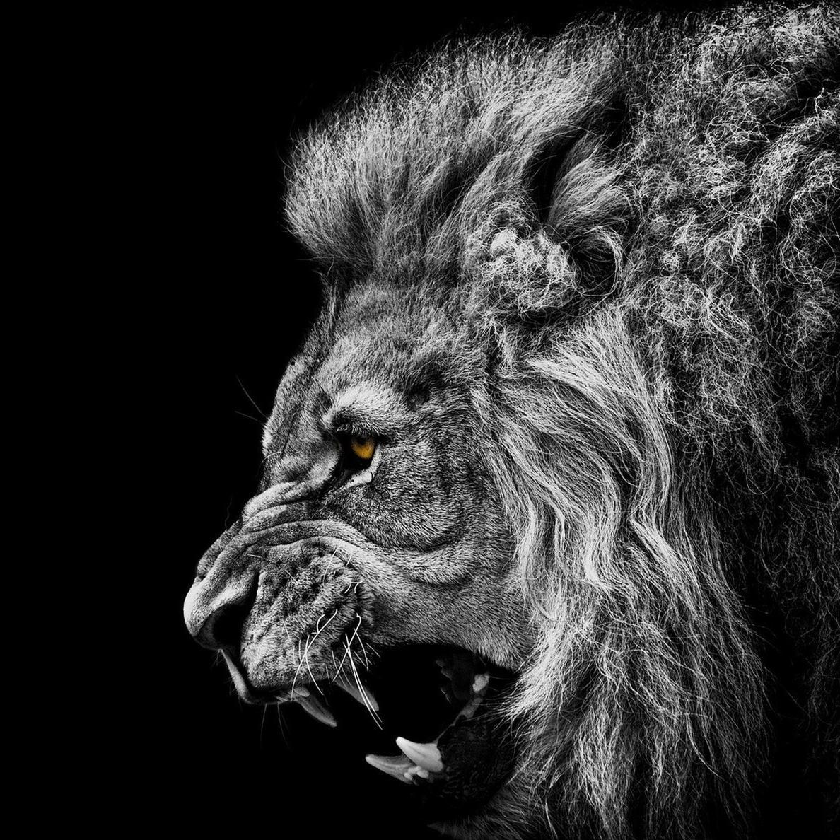 FrederickHusson's profile picture. 