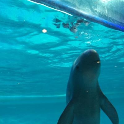 もうなんでもかかってこい