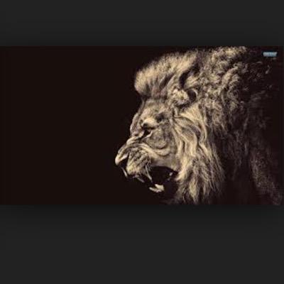 shitbigredsays2's profile picture. 