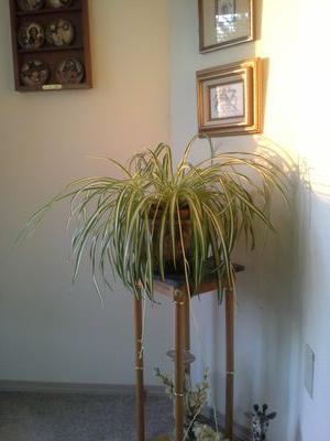 Cldp1322My's profile picture. 