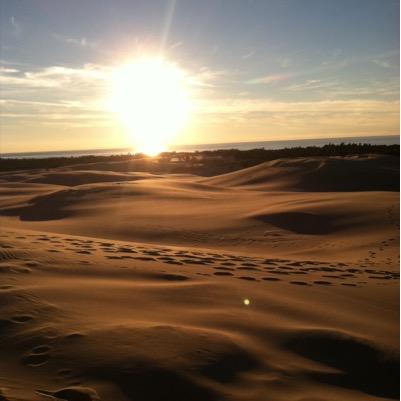 SLakeDuners's profile picture. Fan Page for all those who enjoy driving on the Silver Lake Sand Dunes. DM us pictures of your dune toy to be featured on our page!