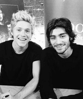 Fan's of Niall James Horan and Demitria Devonne Lovato. i'm LOVATIC and DIRECTIONER. Any problem's??